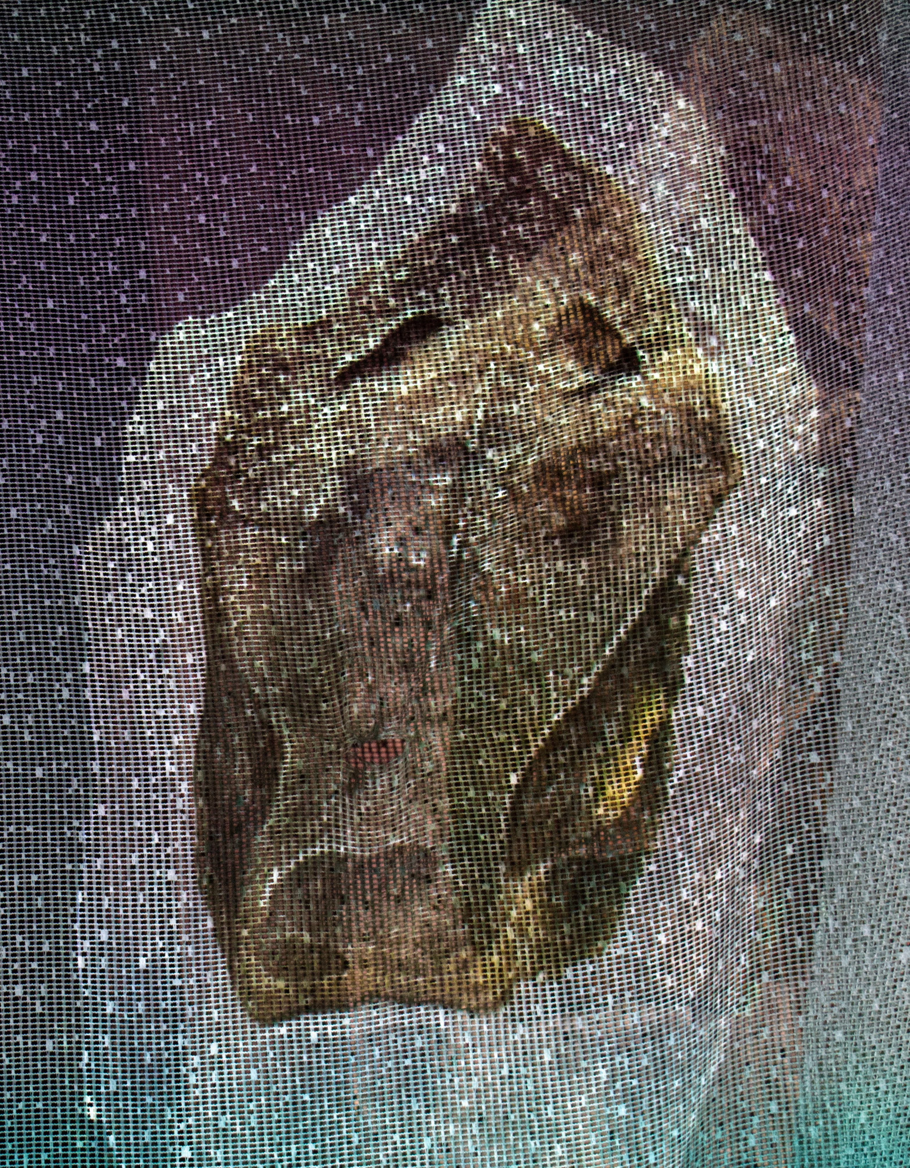 A still from a video of algorithimically generated stones projected onto a lace mesh